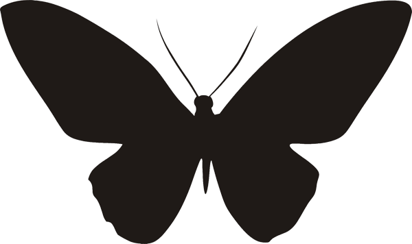 Schmetterling -005